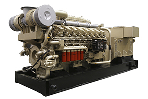 Grupo electrógeno/generador diesel de la serie 6000