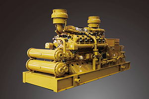 Generador de biogás (600-1700kW)